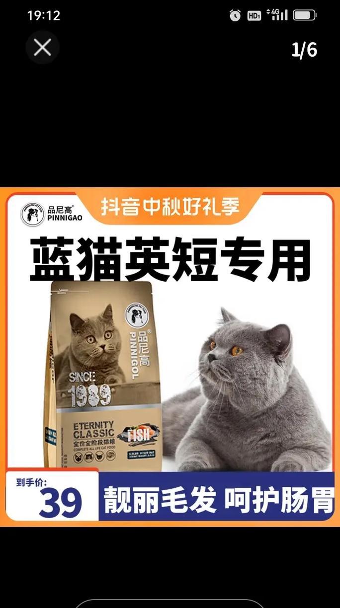 蓝猫穷养能吃什么猫粮好？蓝猫穷养的猫粮选择是什么？