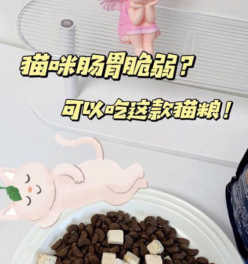 退烧后猫粮不吃应如何处理？猫粮不吃有什么解决方法？