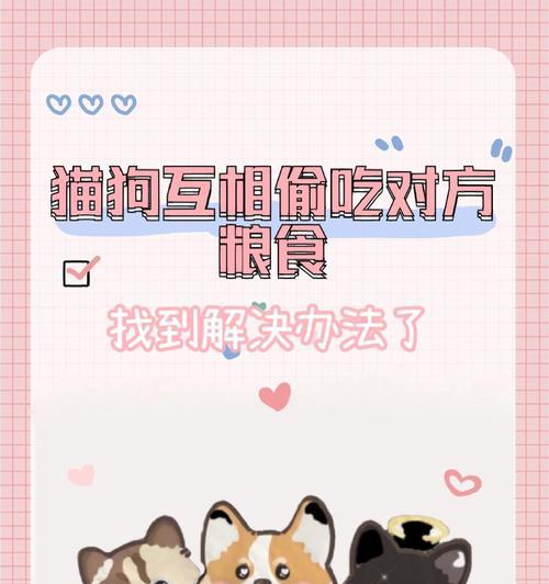 猫猫偷吃猫粮怎么办？如何防止猫咪偷食？