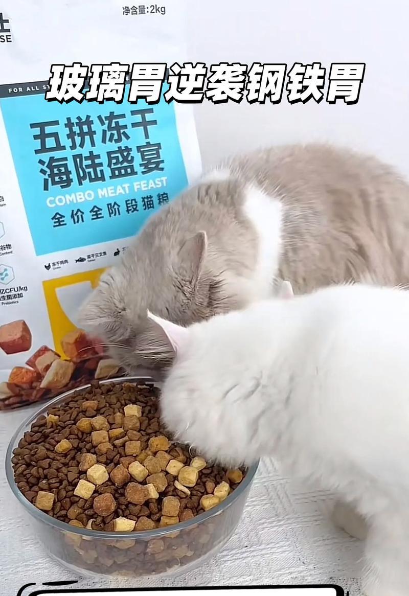成猫可以吃全猫粮吗？正确的食用方法是什么？