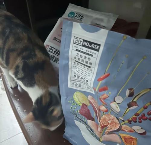 成猫可以吃全猫粮吗？正确的食用方法是什么？