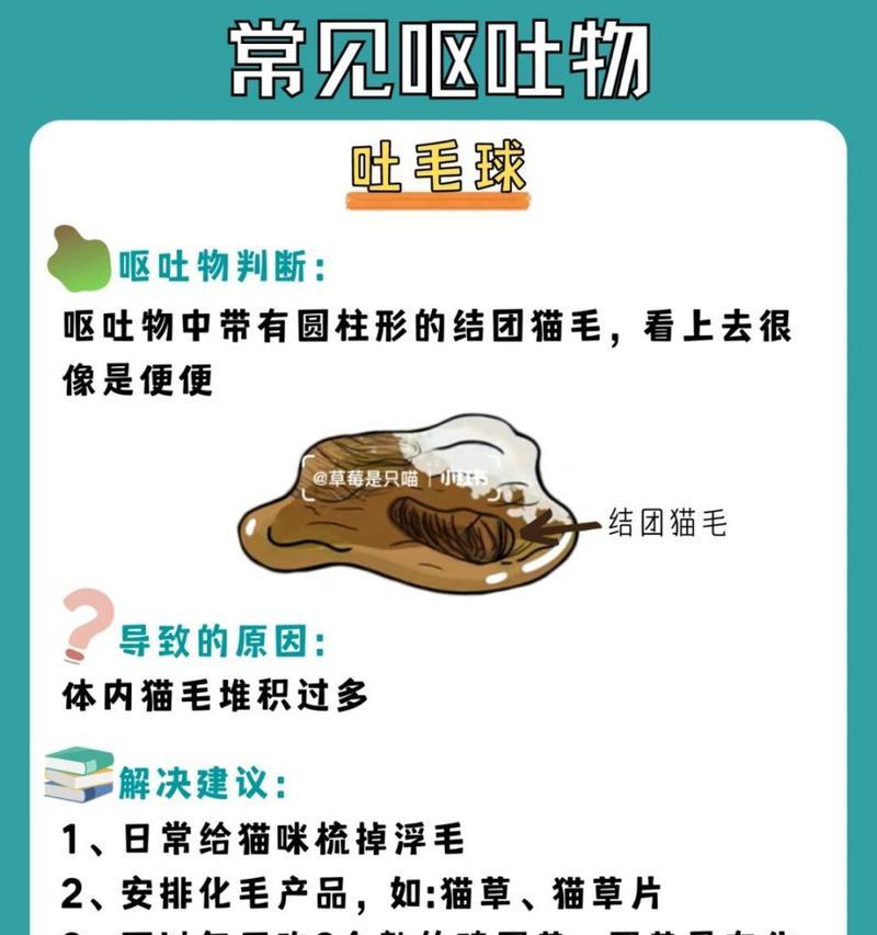 猫咪吐出的猫粮如何清理？