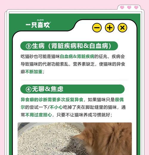 猫吃猫砂并在猫粮里排泄怎么办？如何防止这种行为？