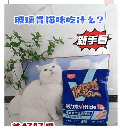 如何用瓶子绑紧猫粮开袋？