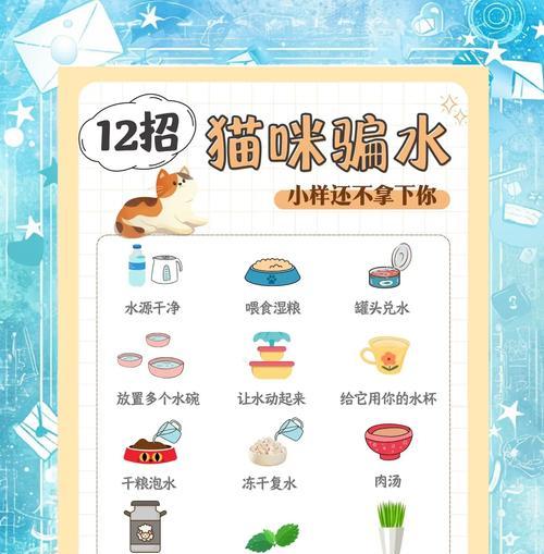 小猫不喝水时用什么替代？