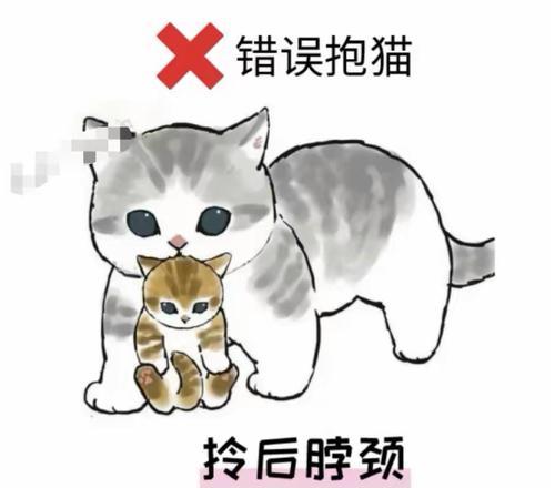 猫偷喝猫粮时被抱住会发生什么？如何防止这种情况？