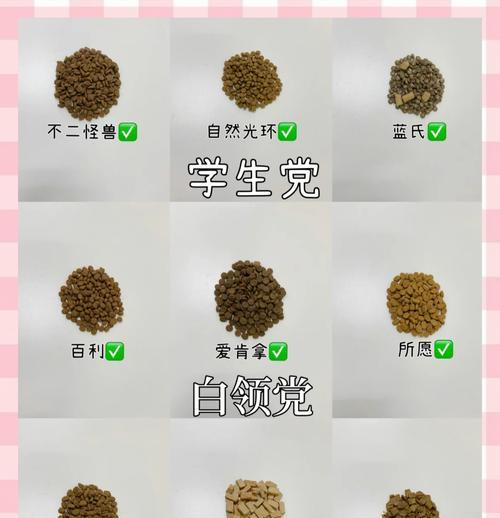 家庭猫咪选择猫粮有哪些标准？如何确保猫咪的饮食健康？