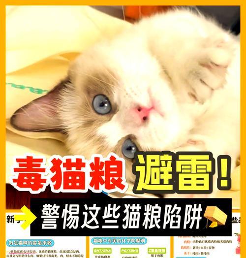 猫粮中尸虫残留是怎么回事？如何避免购买到问题猫粮？