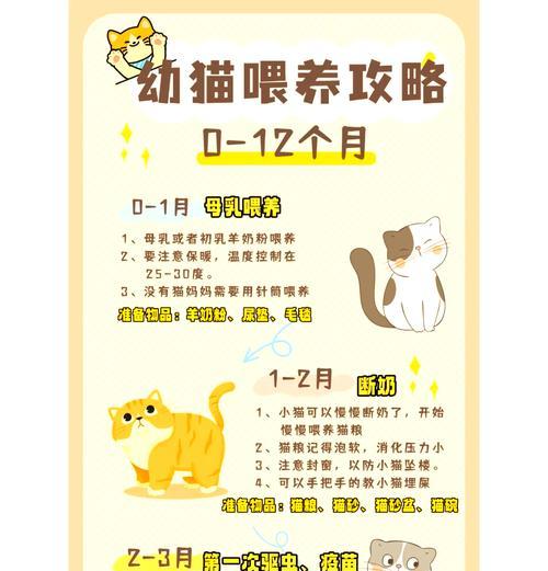 小朋友给猫喂食需要注意什么？