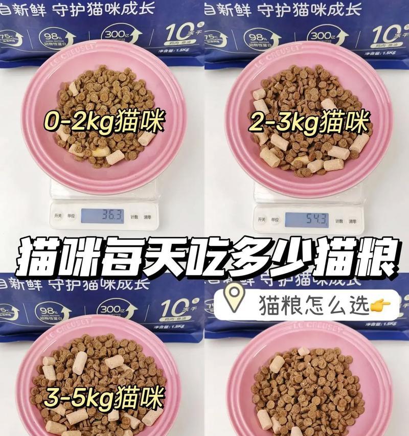 挂笼子猫粮碗的最佳位置是什么？如何防止猫粮洒出？