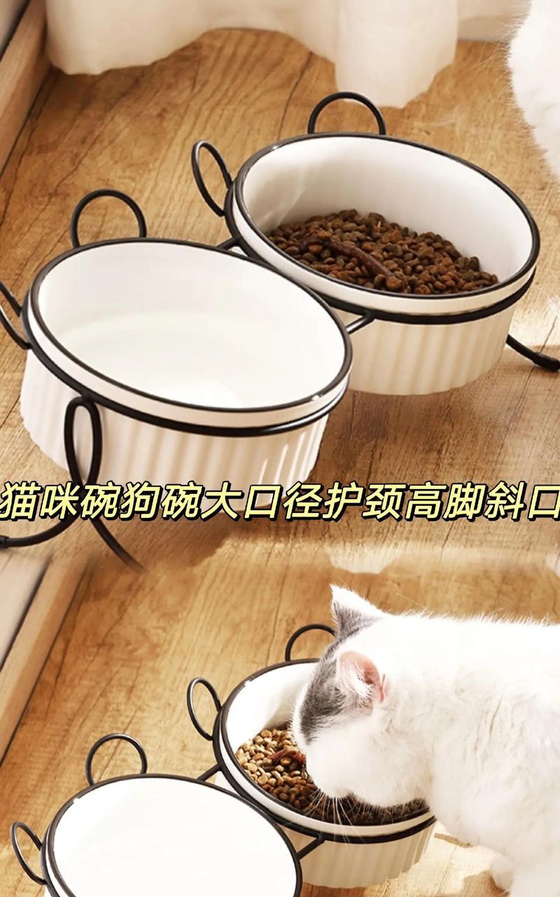 挂笼子猫粮碗的最佳位置是什么？如何防止猫粮洒出？
