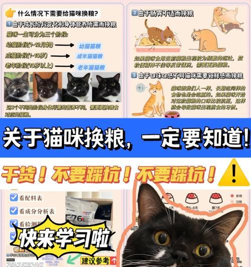 小猫什么时候开始吃猫粮？换猫粮的最佳时机是什么时候？