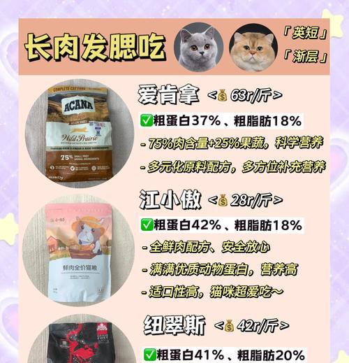 小猫什么时候开始吃猫粮？换猫粮的最佳时机是什么时候？