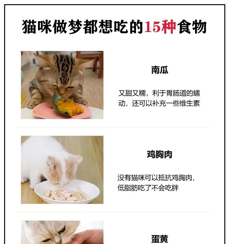 如何改变猫咪的饮食习惯？