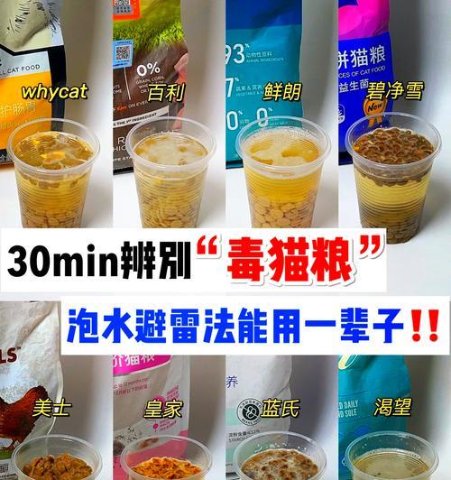 猫粮泡水有油好吗怎么泡？泡猫粮的最佳方法是什么？