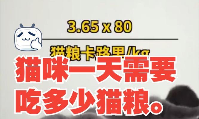 四月大的猫咪一天需要多少猫粮？