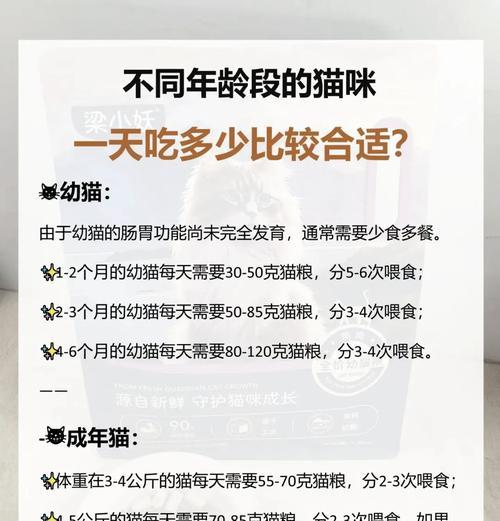 四月大的猫咪一天需要多少猫粮？