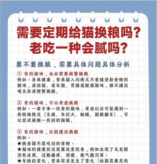 美短猫何时更换猫粮最佳？换粮时应该注意什么？