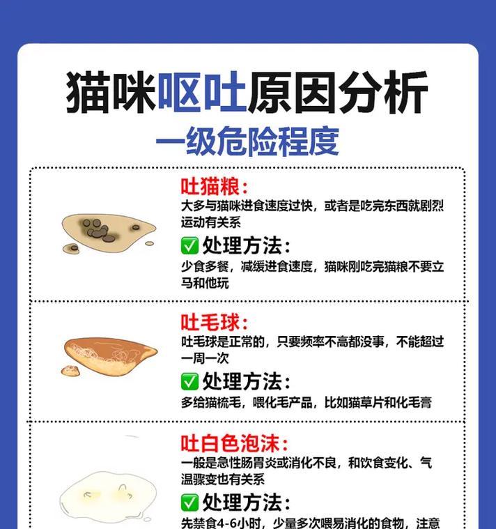 小幼猫吃猫粮后呕吐的原因是什么？