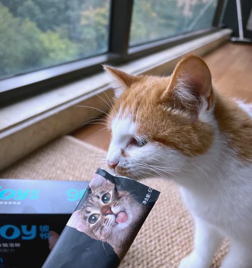 哪种猫吃湿粮更美味且健康？湿粮对猫的健康有何益处？