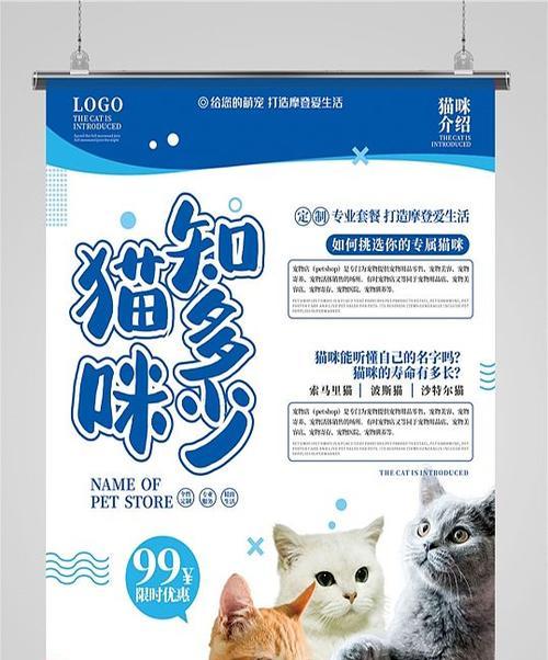 猫粮的宣传素材应该包含哪些内容？如何吸引消费者？