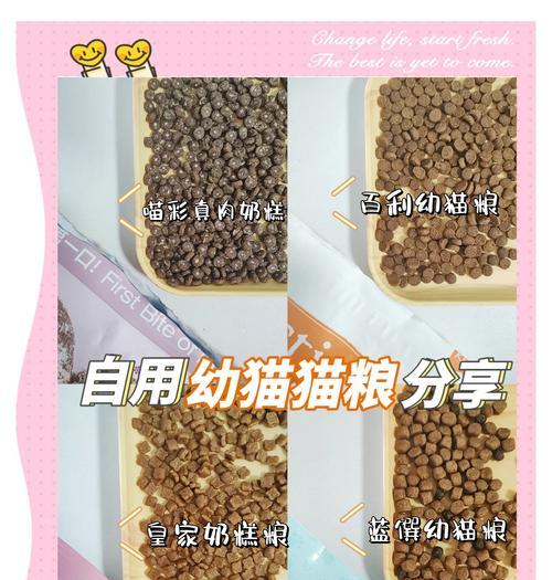 三个月大的幼猫应该吃什么猫粮？有哪些适合幼猫的猫粮推荐？