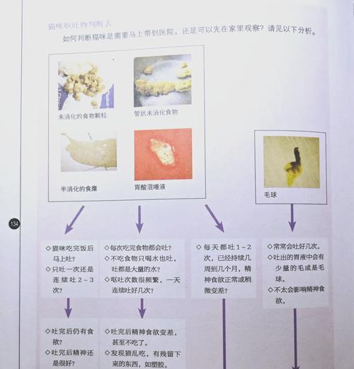 猫咪吃猫粮感觉吃不饱是为什么？可能的原因有哪些？