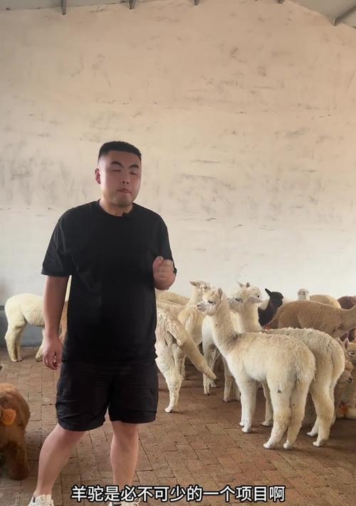 羊驼拒食蔬菜的原因是什么？