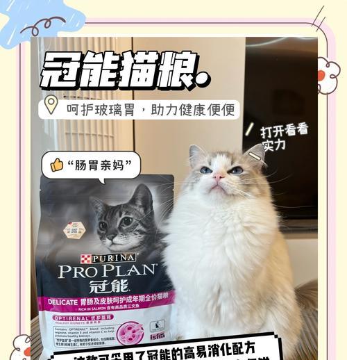 猫粮布偶猫吃什么？布偶猫的饮食习惯和营养需求是什么？