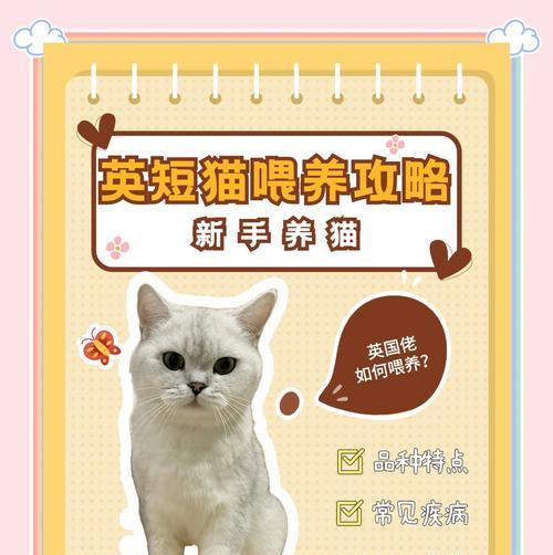 蓝白推荐吃什么猫粮？如何选择适合蓝白猫的猫粮？