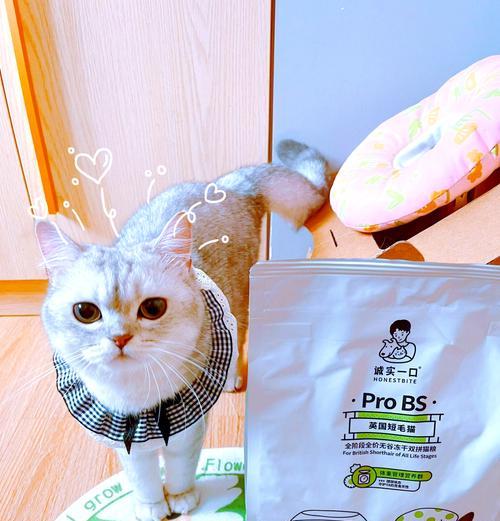 如何为美短猫选择能帮助增重的猫粮？