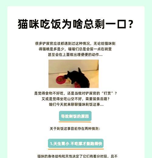 猫咪为何吃剩饭剩粮后会拉稀？