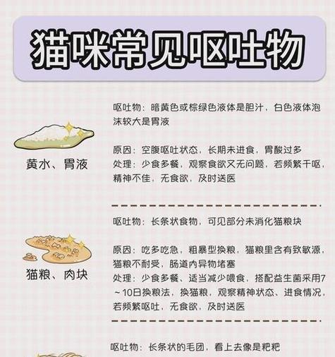 猫咪声音变化后呕吐猫粮如何处理？