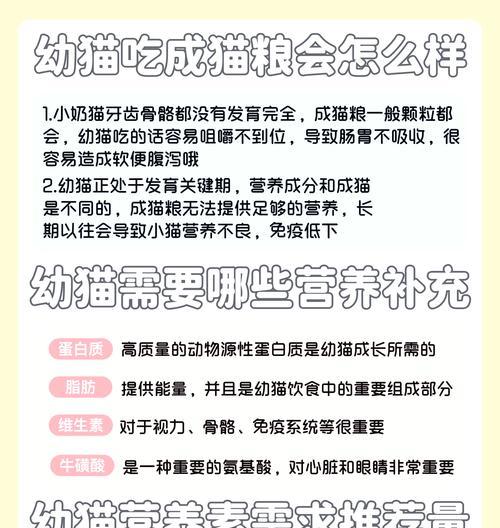 幼猫误食成猫粮会有哪些影响？幼猫和成猫粮的区别是什么？