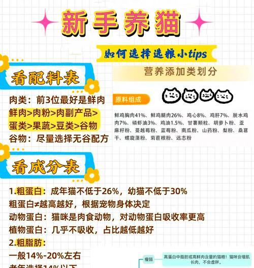 小猫崽应该吃什么猫粮？如何选择合适的猫粮？