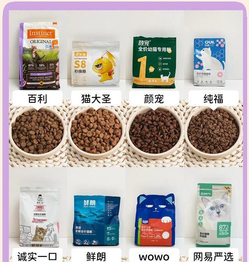 小猫崽应该吃什么猫粮？如何选择合适的猫粮？