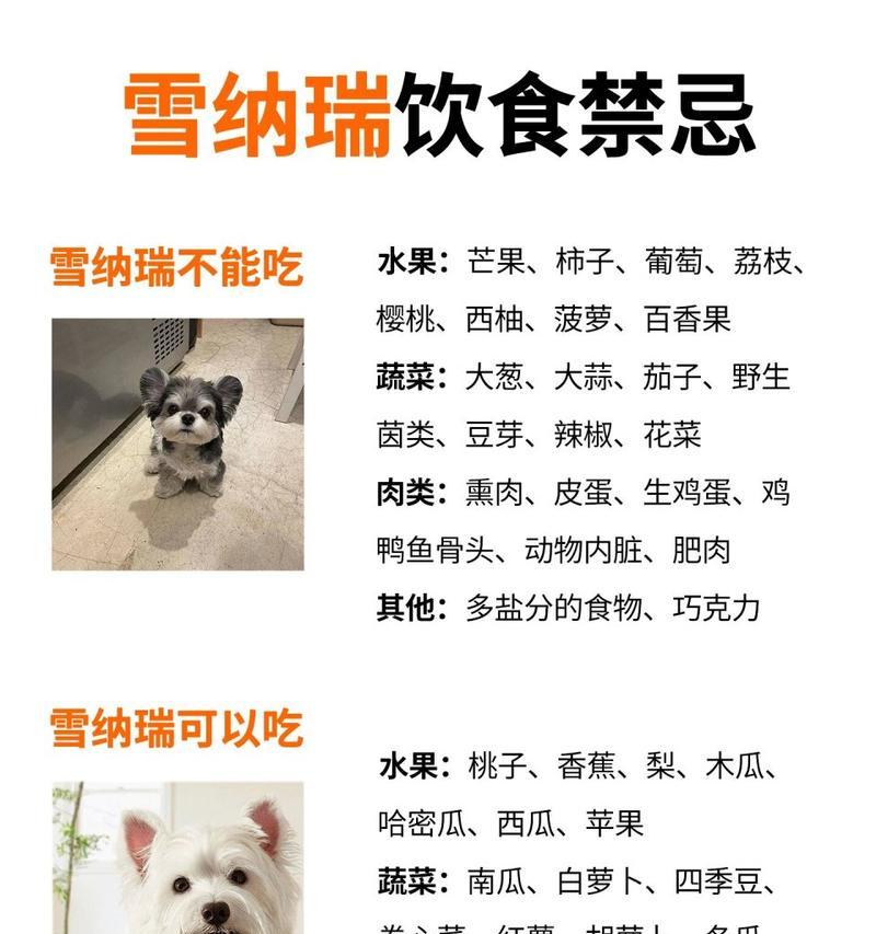 雪纳瑞幼仔和成犬的售价是多少？