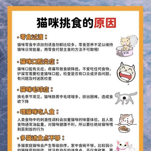 小猫为何会挑食不吃猫粮？如何解决这个问题？