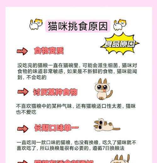 小猫为何会挑食不吃猫粮？如何解决这个问题？