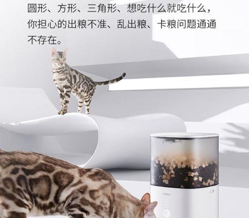自动喂食猫粮机使用方法是什么？