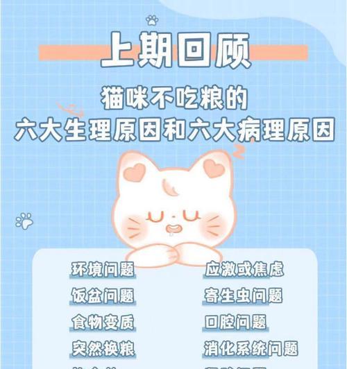 猫条和猫粮混合后猫咪不吃了怎么办？