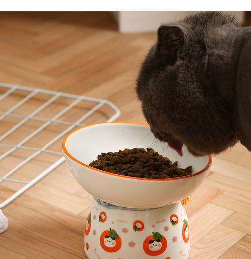 猫粮和水碗的最佳摆放位置是什么？