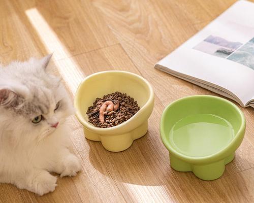 猫粮和水碗的最佳摆放位置是什么？