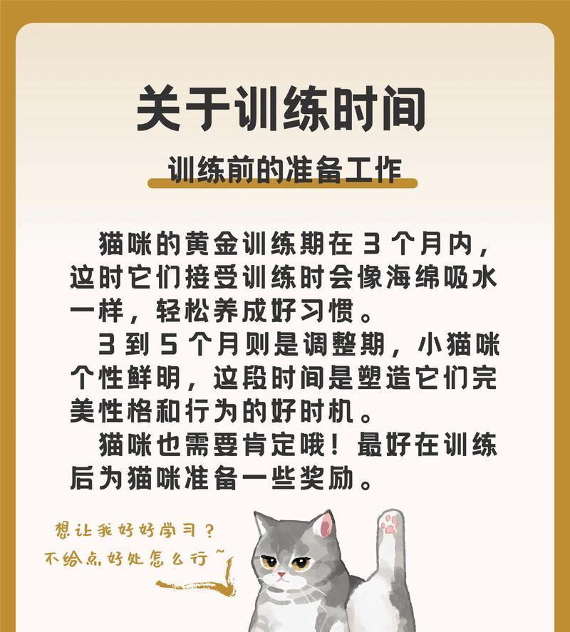 如何教猫咪咀嚼猫粮？训练猫咪的正确方法是什么？