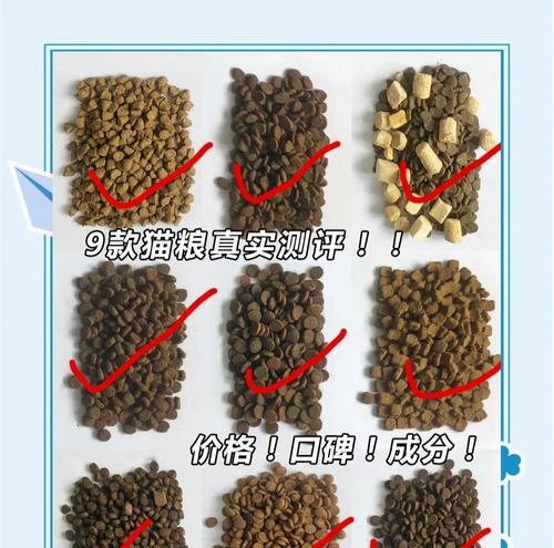 猫粮在天热时变质还能给猫吃吗？变质猫粮对猫有什么危害？