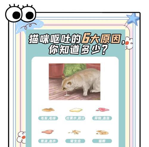 猫咪呕吐水的原因是什么？