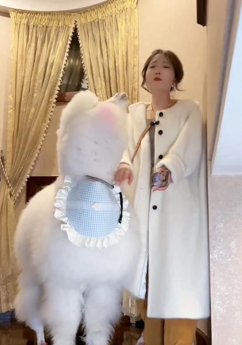 羊驼吐口水并躲藏的行为如何应对？