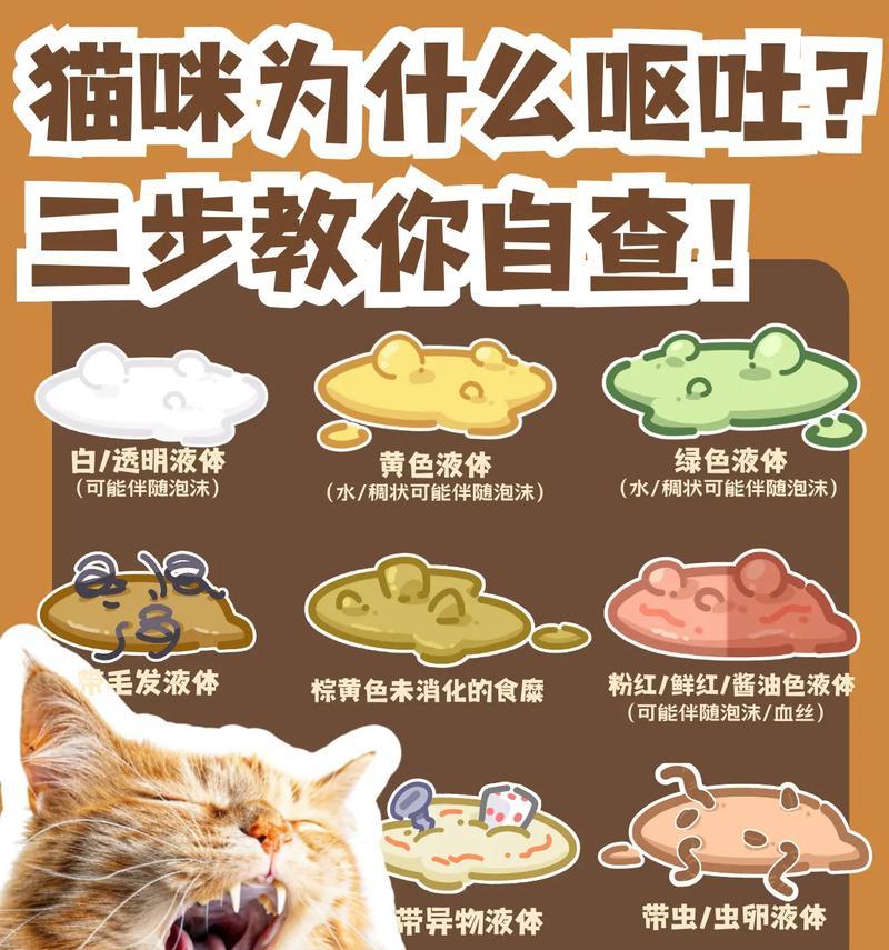 猫咪呕吐后仍舔食猫粮的原因是什么？