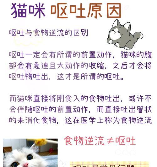猫咪呕吐后仍舔食猫粮的原因是什么？