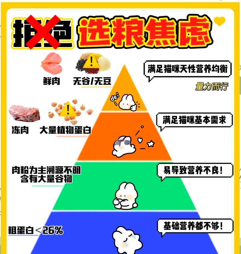 如何正确添加猫粮以满足猫咪需求？